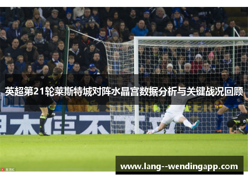 英超第21轮莱斯特城对阵水晶宫数据分析与关键战况回顾 英超第21轮莱斯特城对阵水晶宫数据分析与关键战况回顾