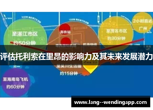 评估托利索在里昂的影响力及其未来发展潜力 评估托利索在里昂的影响力及其未来发展潜力