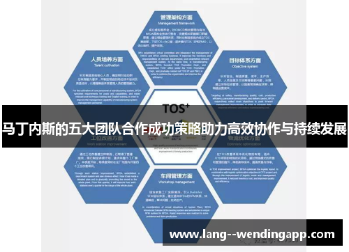 马丁内斯的五大团队合作成功策略助力高效协作与持续发展