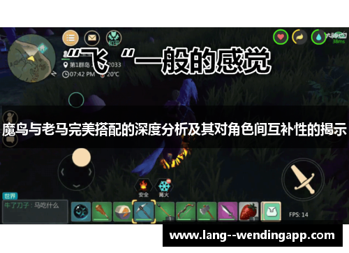 魔鸟与老马完美搭配的深度分析及其对角色间互补性的揭示